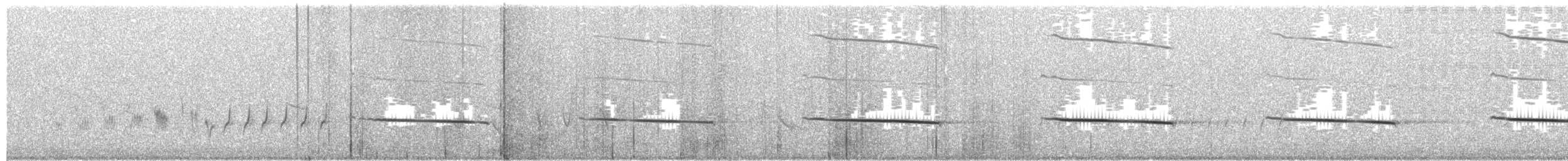 Black-eared Cuckoo - ML649490884