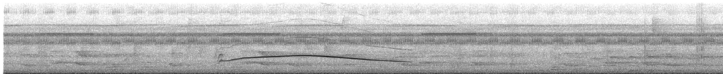 Kıvırcık Hokko - ML649491005