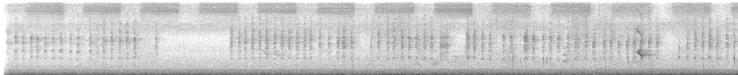 White-cheeked Honeyeater - ML649491192