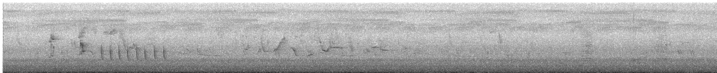 Superb Fairywren - ML649491309