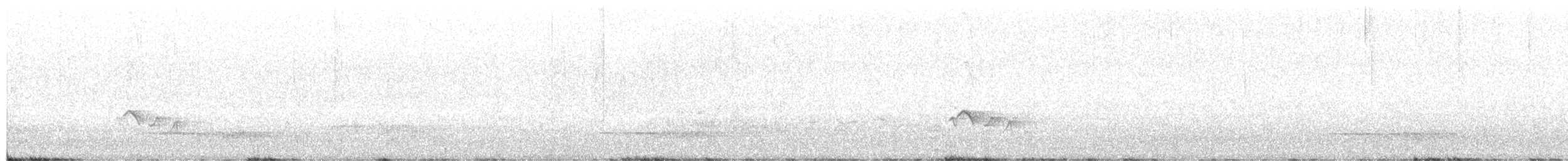 キバラカンムリヒヨドリ - ML649491759