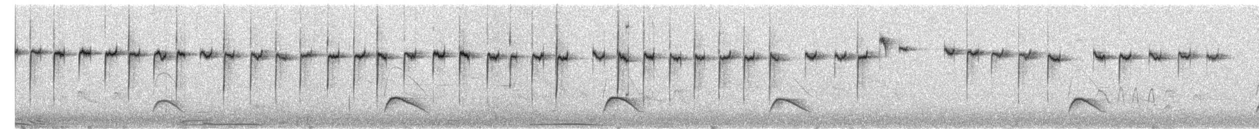 ハリオカマドドリ - ML649492063