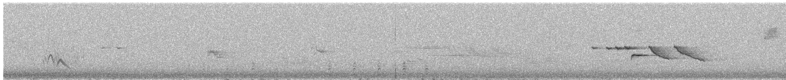 マゼランタシギ - ML649492393