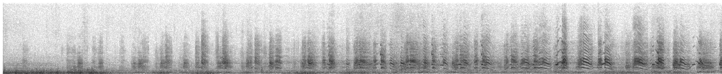 Chinstrap Penguin - ML649494337