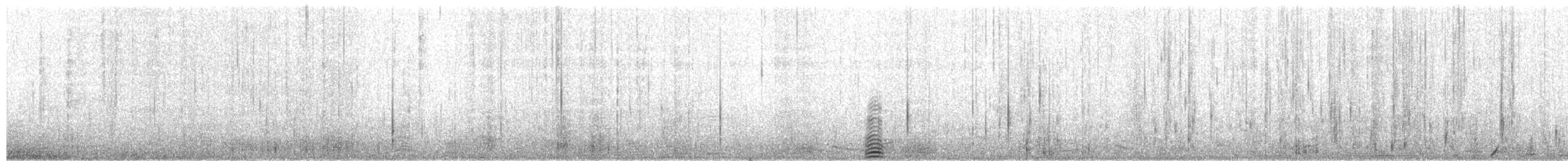 Gentoo Penguin - ML649494710