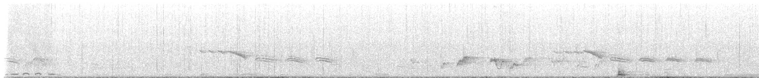 Tortora delle palme - ML649496848