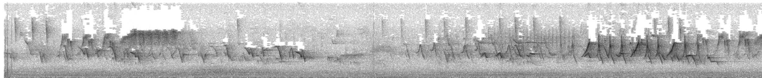 Northern Parula - ML649499320