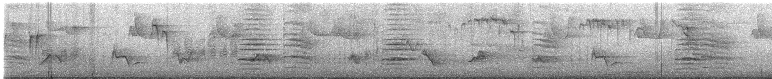 Piranga gorri-beltza - ML649501336