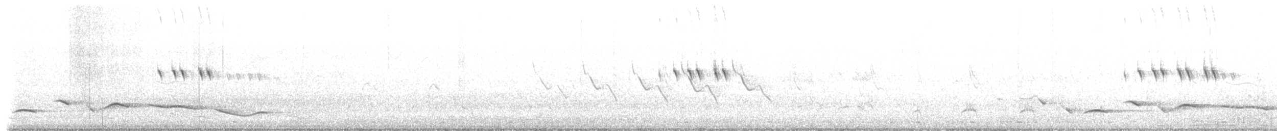 Black-crowned Tchagra - ML649502394