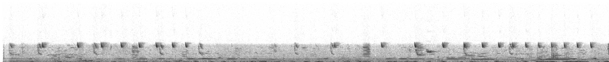 Highland Rush Warbler - ML649502765