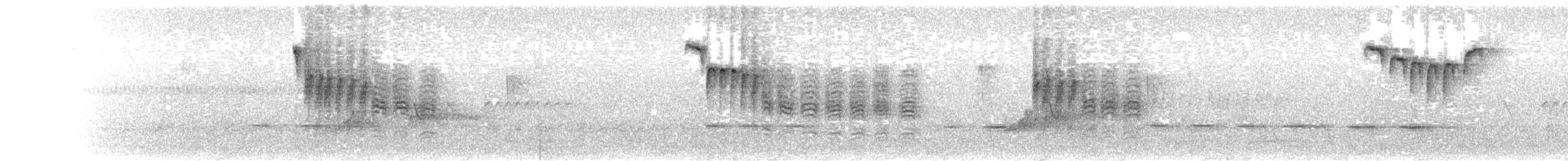 Carbonero de Carolina - ML649512030