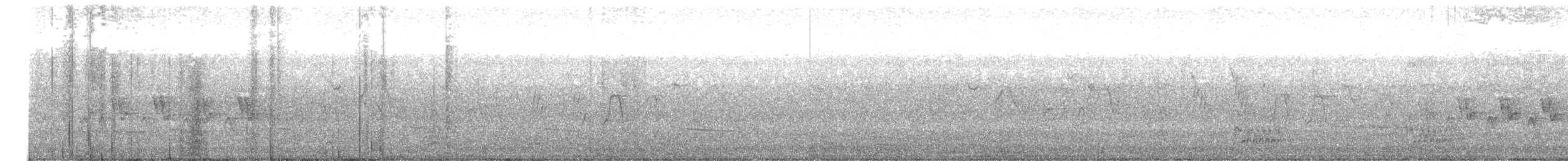 kentuckyparula - ML649515831