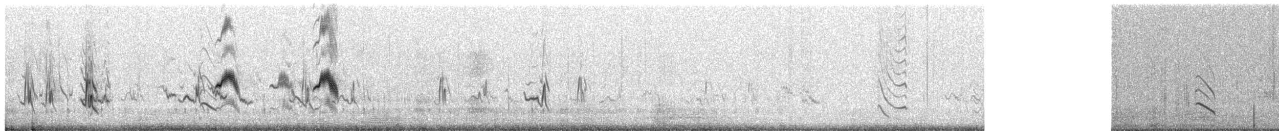 Short-tailed Lark - ML649516125