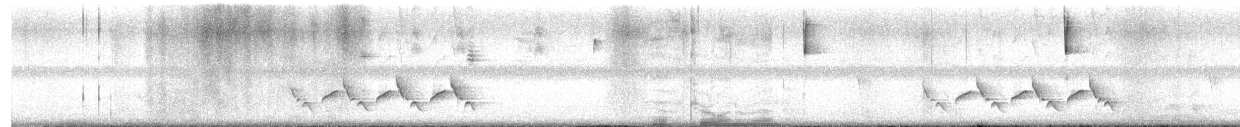 Carolina Wren - ML649522791