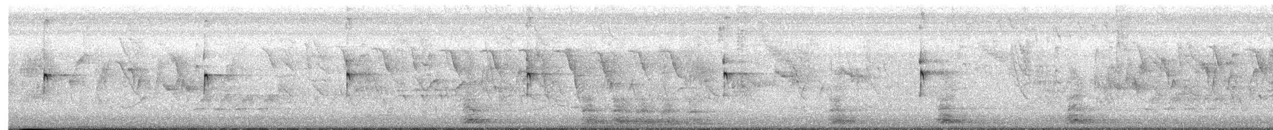 Solitary Sandpiper - ML649523003