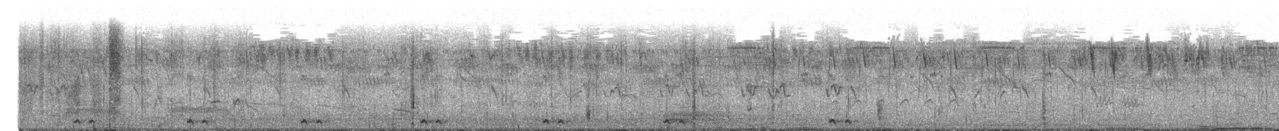 Black Coucal - ML649529880