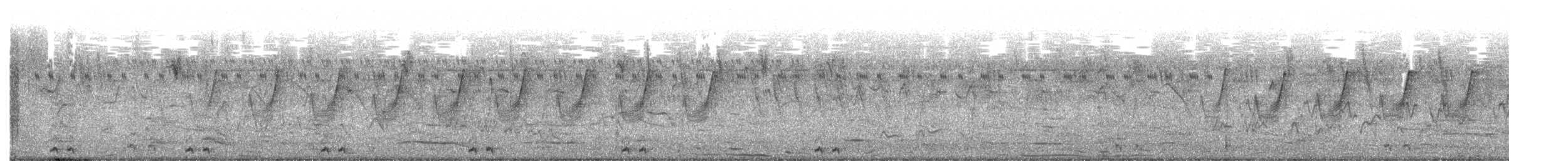 Black Coucal - ML649529881