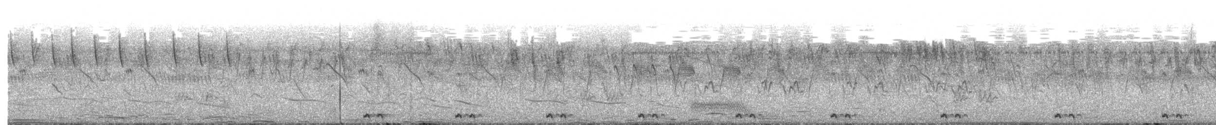 Black Coucal - ML649529882