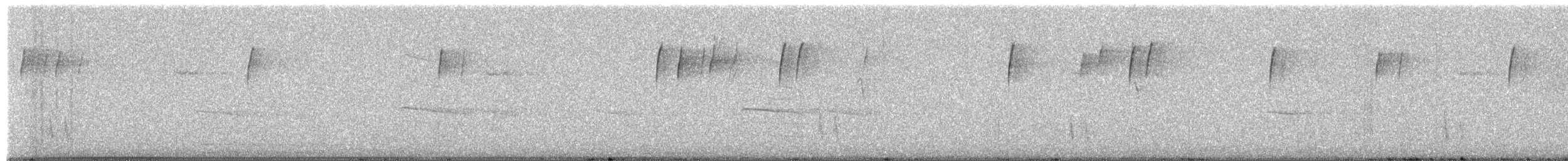 Hermit Thrush - ML649530055