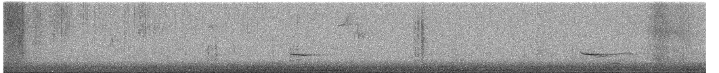 Hermit Thrush - ML649530435