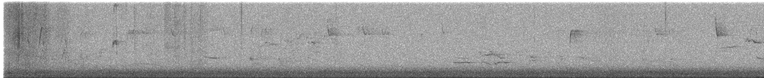 Hermit Thrush - ML649530436