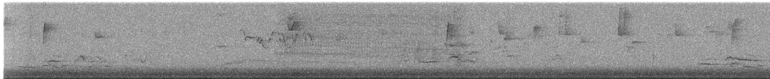 Hermit Thrush - ML649530437