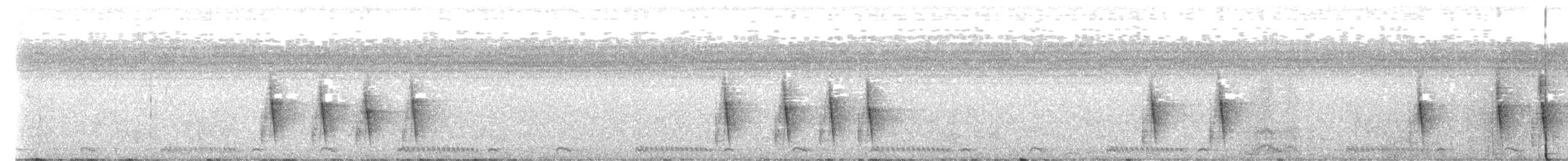 Green-backed Camaroptera (Gray-backed) - ML649531880