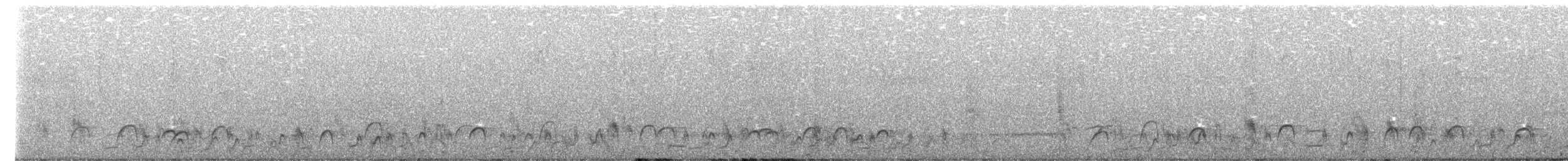 Double-banded Sandgrouse - ML649531939