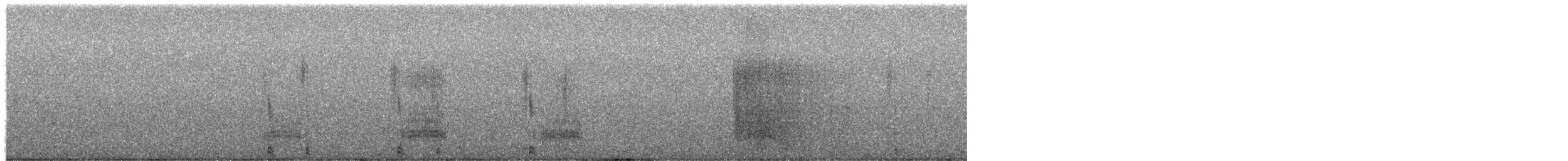 琵嘴鴨 - ML649533558