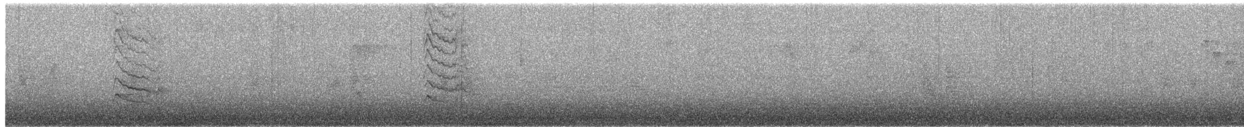 Yellow-bellied Sapsucker - ML649536709