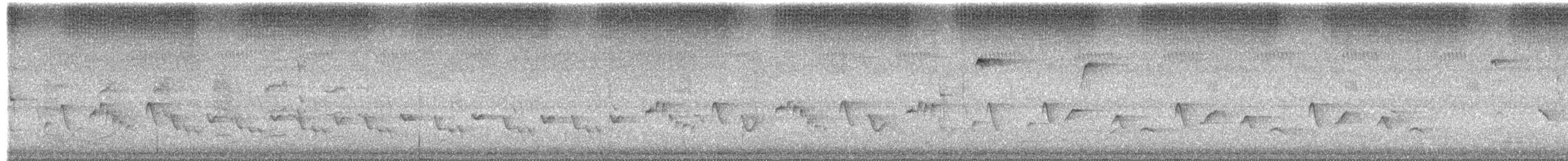 Elfengerygone - ML649543658