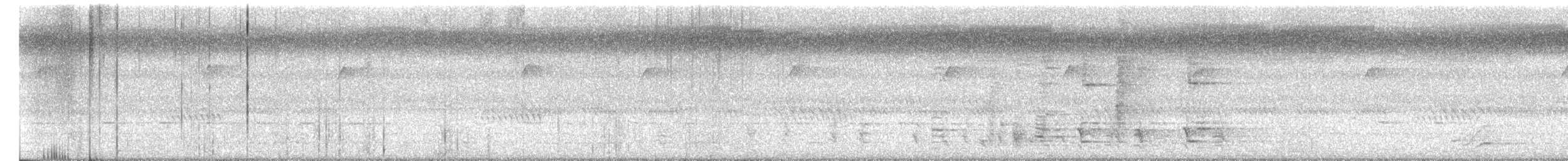 Glanzfleckdrongo - ML649544087