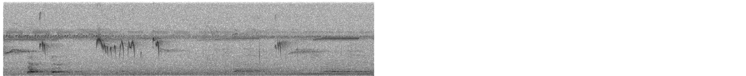 Short-tailed Swift - ML649544770