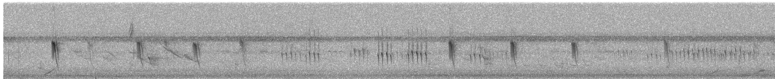 White-banded Swallow - ML649544859