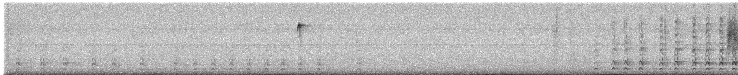 Pileated Woodpecker - ML649544944