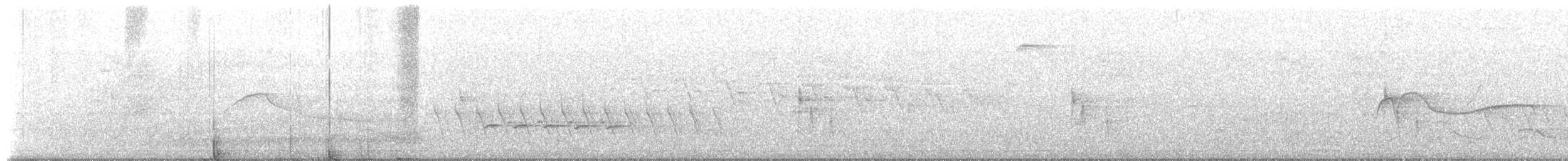 Hellbauch-Schnäppertyrann - ML649548862