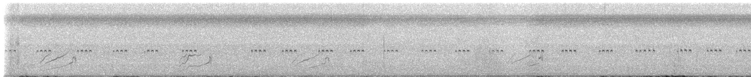 Smooth-billed Ani - ML649556495