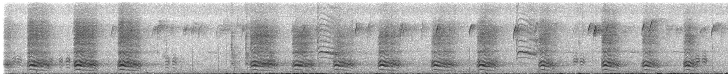 American Crow - ML649556682