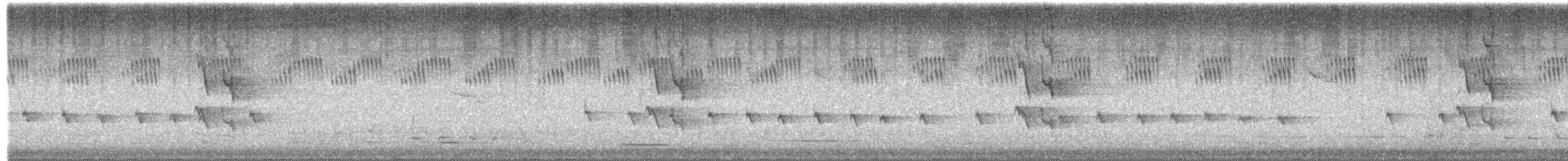 Weißwangen-Honigfresser - ML649557139