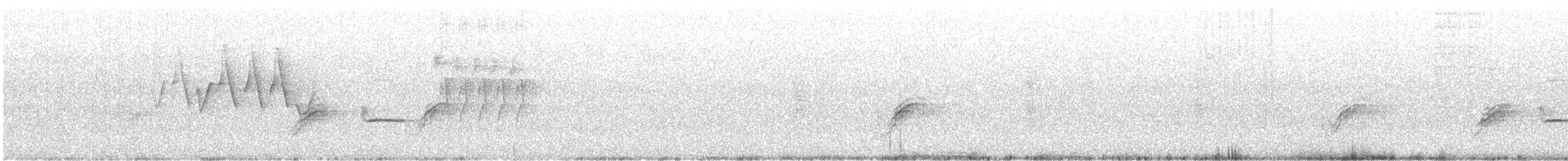 Chestnut-sided Warbler - ML64955741