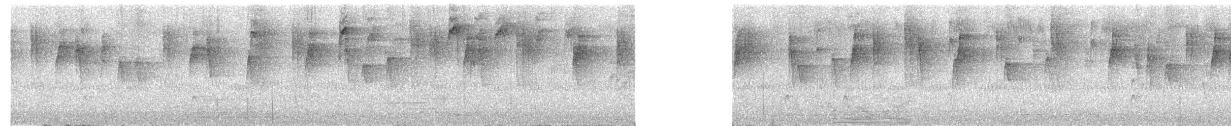 Fahlstreif-Zaunkönig - ML649557878