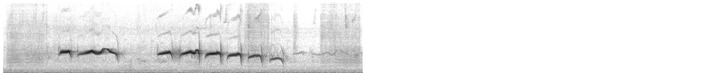 Stripe-backed Antbird - ML649560773