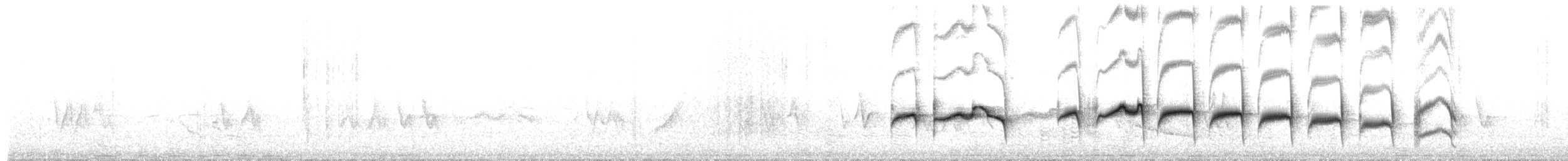 Stripe-backed Antbird - ML649560790