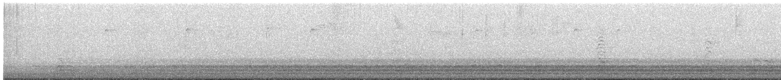 Cackling Goose - ML649560799