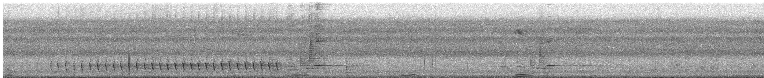 Spangled Drongo - ML649561127