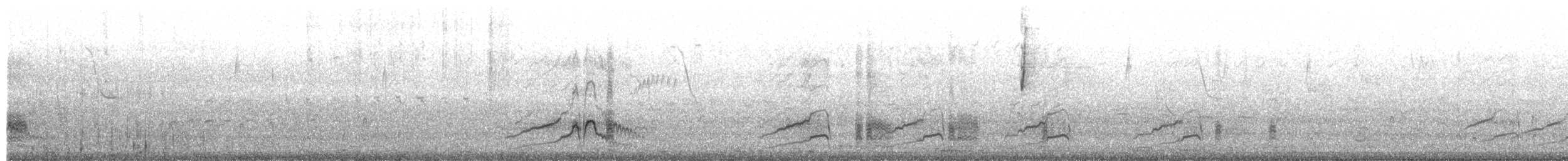 Chiloe Wigeon - ML649561140