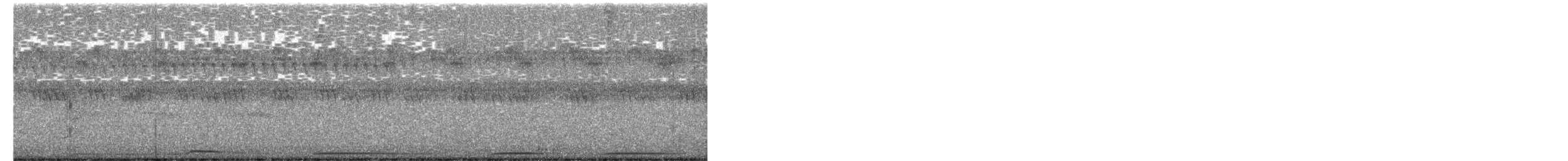 ナゲキバト - ML649561167