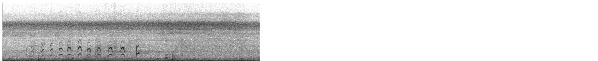 Short-tailed Nighthawk - ML649561313