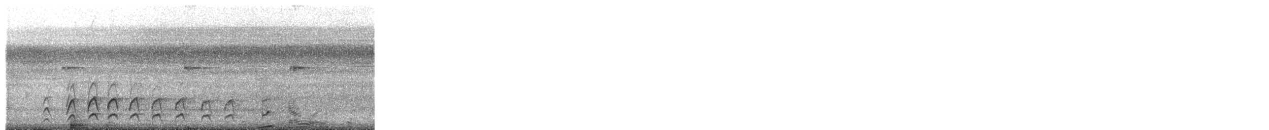 Short-tailed Nighthawk - ML649561314