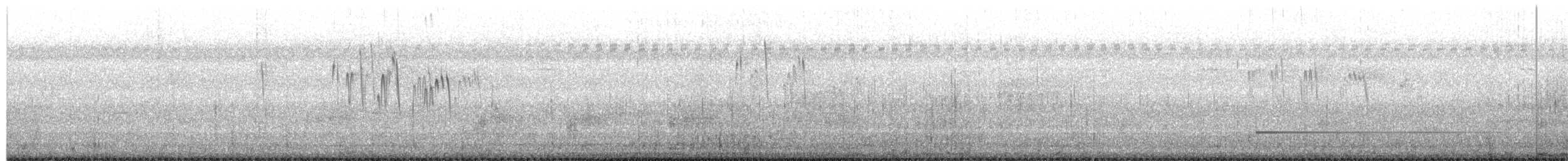 Gray-rumped Swift - ML649561524